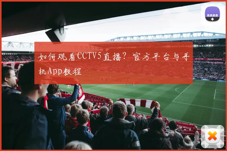 如何观看CCTV5直播？官方平台与手机App教程