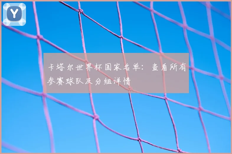 卡塔尔世界杯国家名单：查看所有参赛球队及分组详情