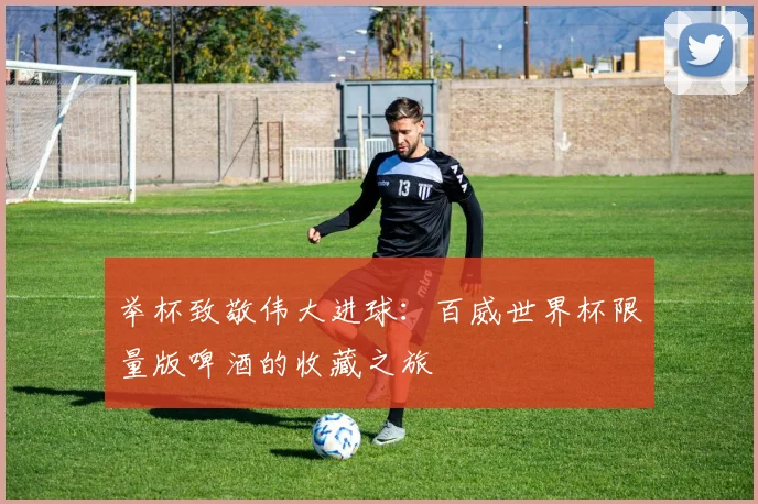 举杯致敬伟大进球:百威世界杯限量版啤酒的收藏之旅
