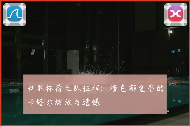 世界杯荷兰队征程：橙色郁金香的卡塔尔绽放与遗憾