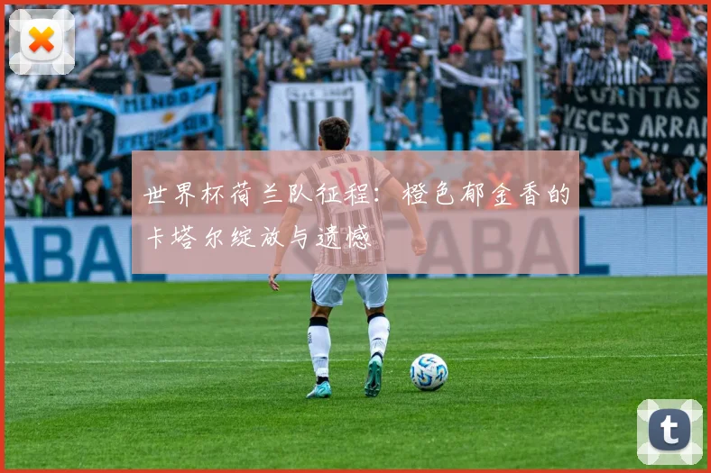 世界杯荷兰队征程：橙色郁金香的卡塔尔绽放与遗憾