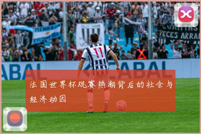 法国世界杯观赛热潮背后的社会与经济动因