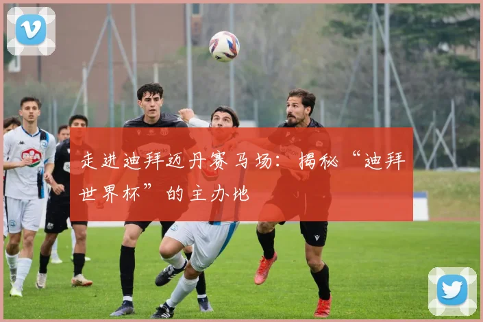 走进迪拜迈丹赛马场:揭秘“迪拜世界杯”的主办地