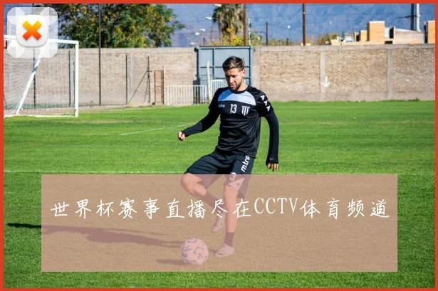 世界杯赛事直播尽在CCTV体育频道