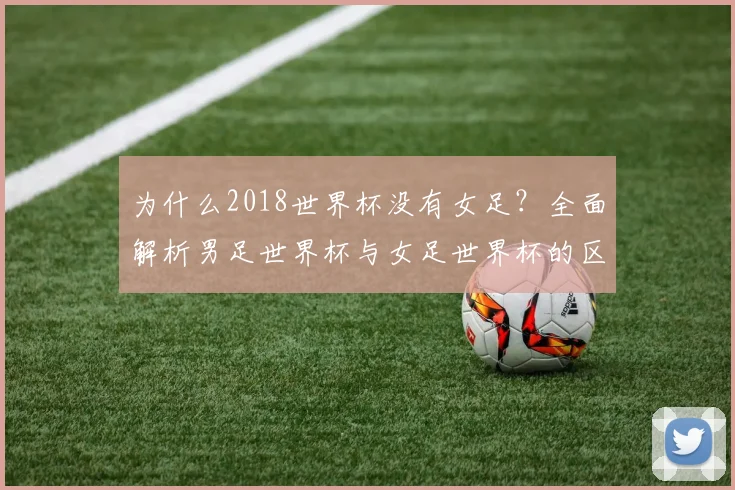 为什么2018世界杯没有女足?全面解析男足世界杯与女足世界杯的区别