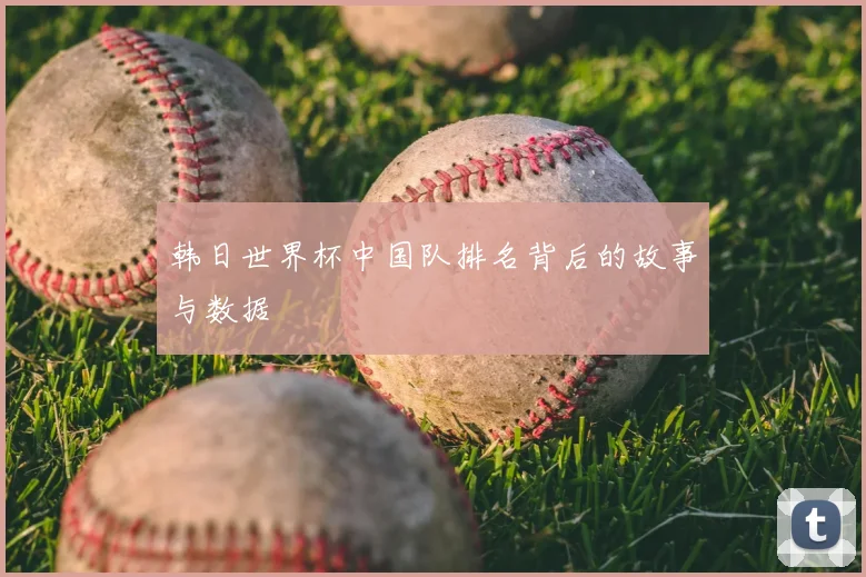 韩日世界杯中国队排名背后的故事与数据