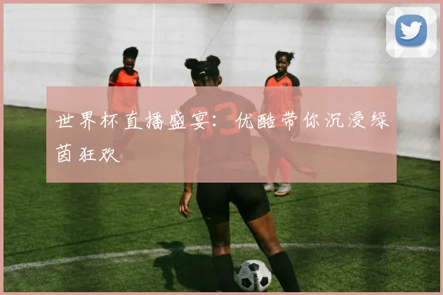 世界杯直播盛宴：优酷带你沉浸绿茵狂欢