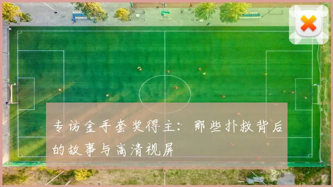 专访金手套奖得主：那些扑救背后的故事与高清视屏